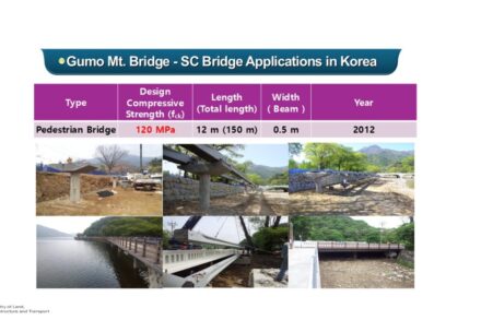 금오산교（2012）