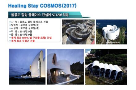 힐링 스테이 코스모스（2017）
